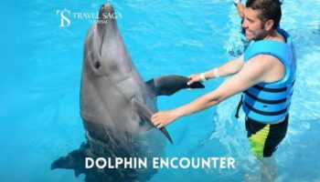 Dolphin Encounter Dubai