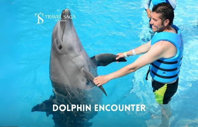 Dolphin Encounter Dubai