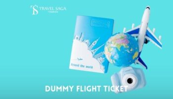 Dummy Flight Ticket