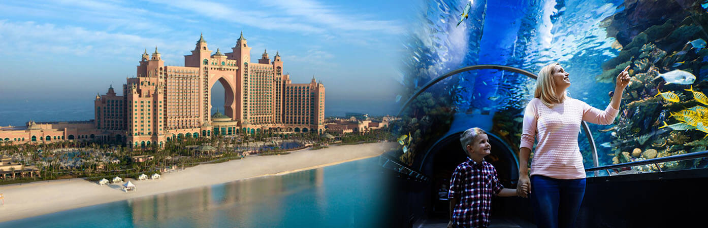 Dubai City Tour and Dubai Aquarium