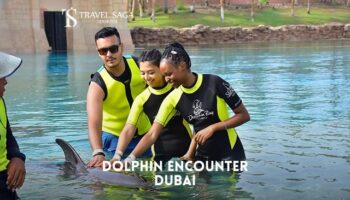 Book Dolphin Encounter Dubai Tickets