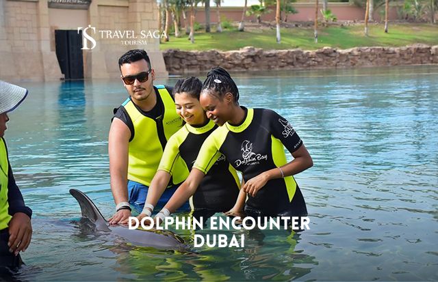 Book Dolphin Encounter Dubai Tickets
