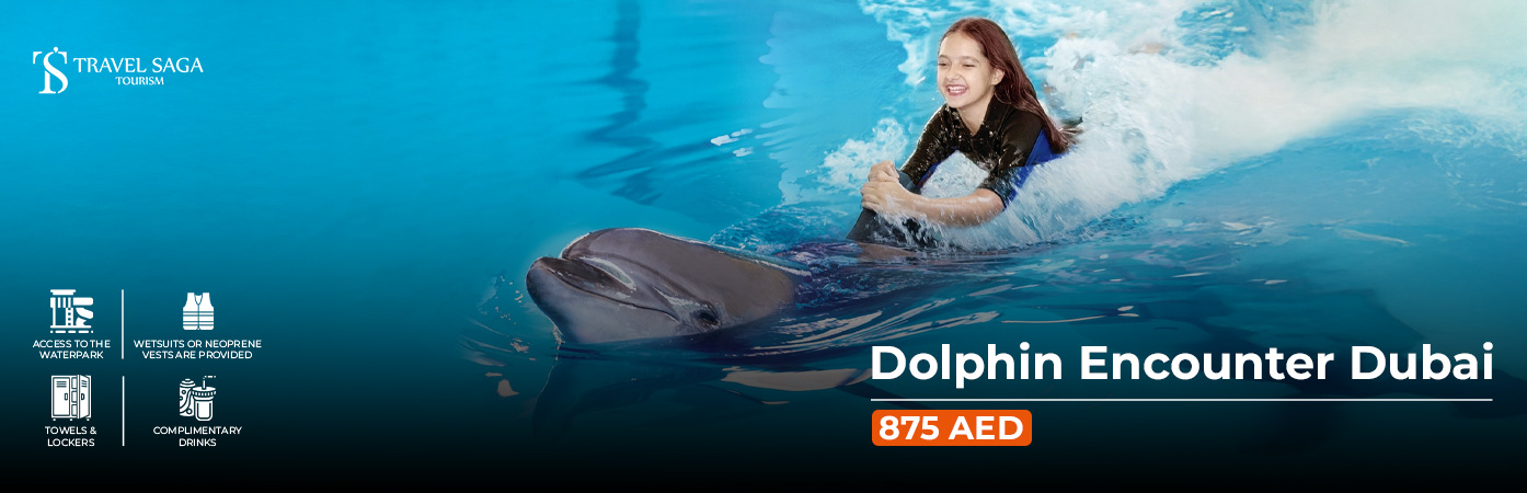 Book Dolphin Encounter Dubai Tickets marine experience Dubai