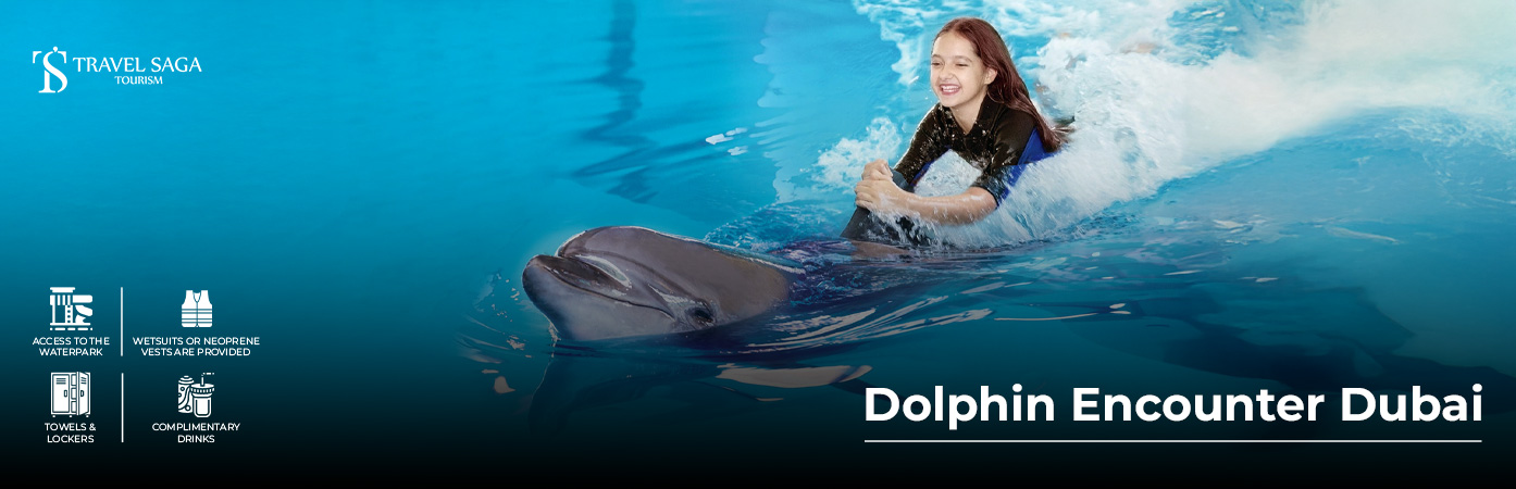 Book Dolphin Encounter Dubai Tickets marine experience Dubai