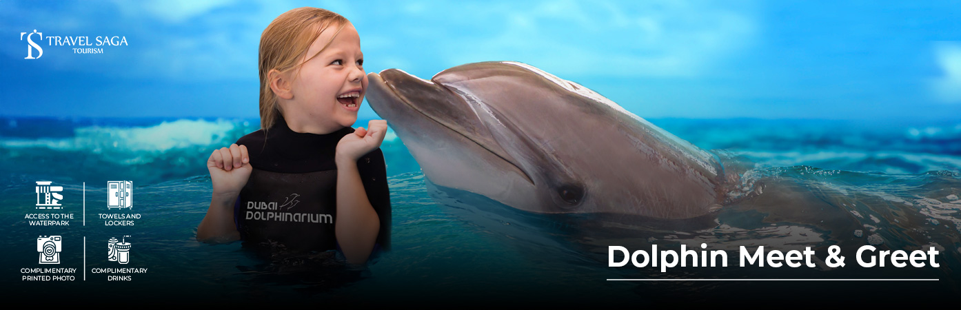 Book Dolphin Meet and Greet Tickets family dolphin activity