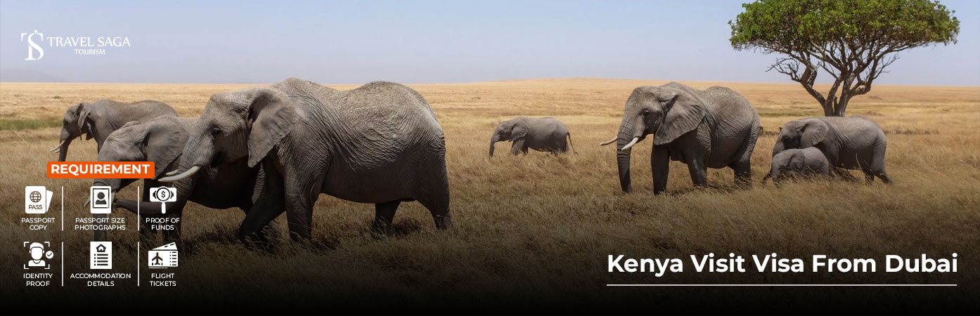 Kenya Visit Visa Application UAE