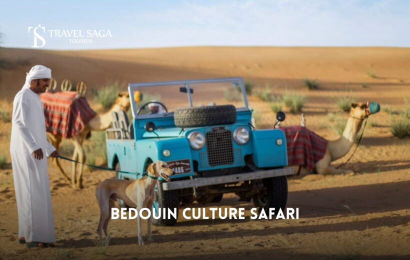 Bedouin Culture Safari