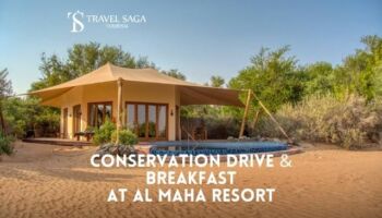 Conservation Drive and Breakfast at Al Maha Resort