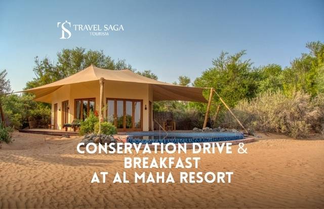 Conservation Drive and Breakfast at Al Maha Resort