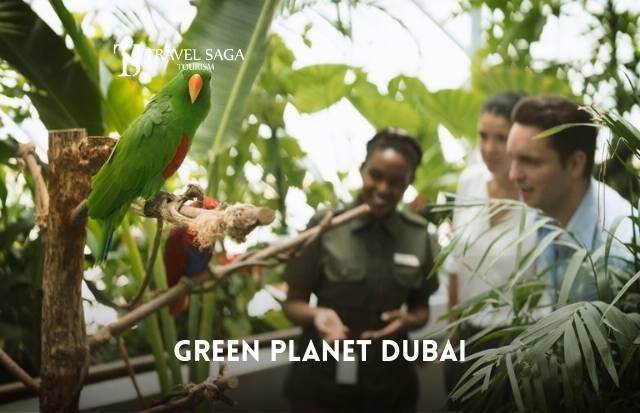 Green Planet Ticket Dubai