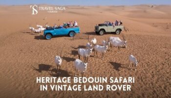 Bedouin Culture Safari – Morning