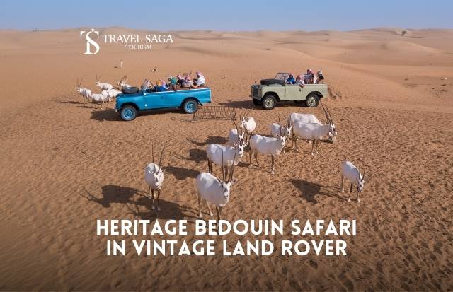 Bedouin Culture Safari – Morning