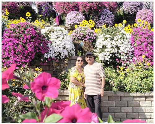 Miracle Garden