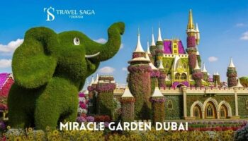 Miracle Garden Tickets Dubai