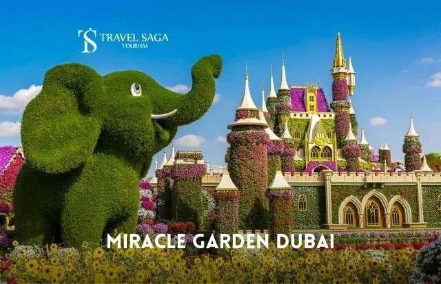 Miracle Garden Tickets Dubai