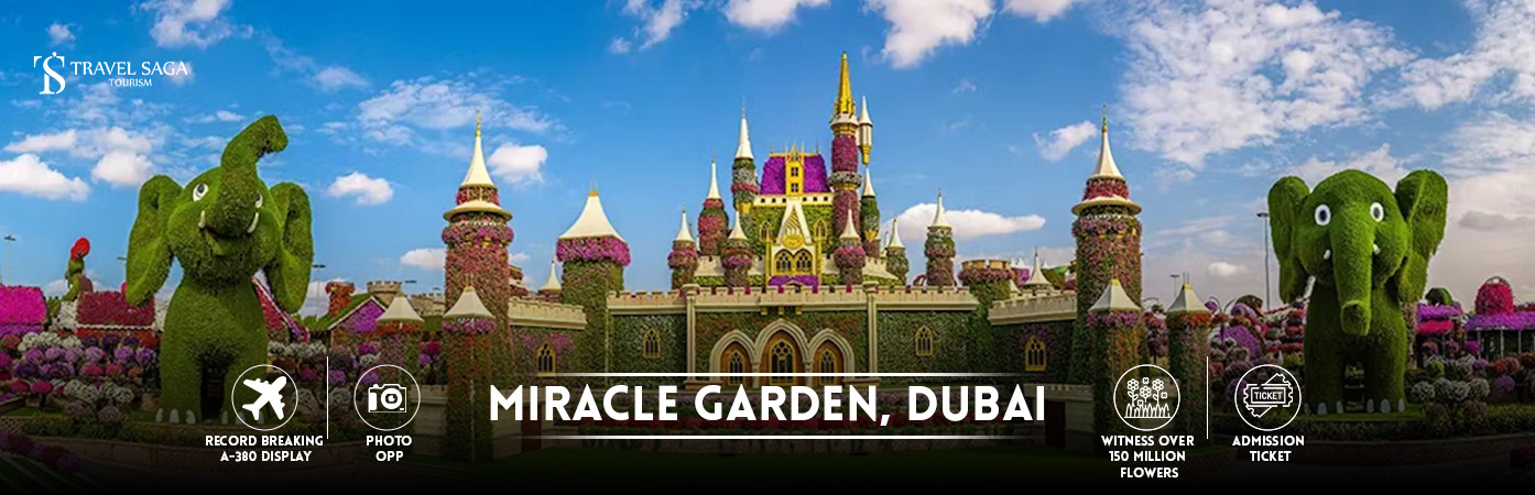 dubai miracle garden ticket price | miracle garden dubai timings BT Banner By Travel Saga Tourism
