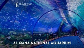 Al Qana National Aquarium Abu Dhabi