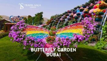 Butterfly Garden Dubai