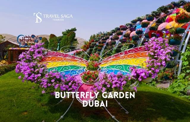 Butterfly Garden Dubai