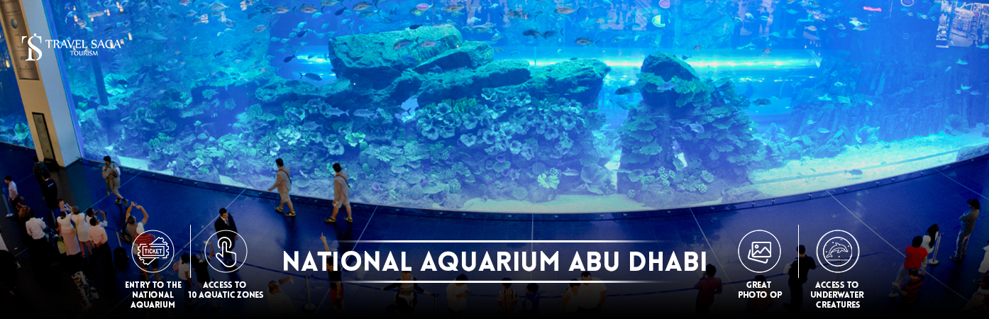 National Aquarium Abu Dhabi | National Aquarium tickets thumbnail travel saga tourism