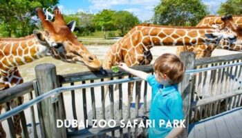 Dubai Safari Park Tickets