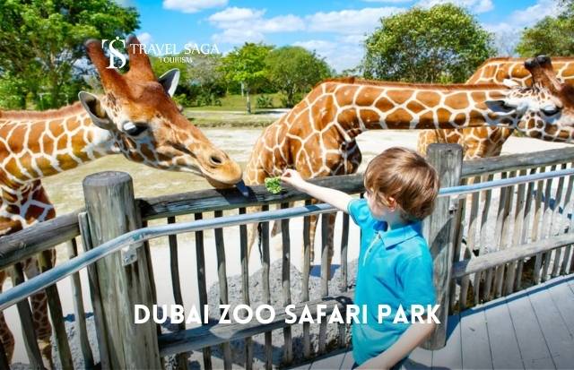 Dubai Safari Park Tickets