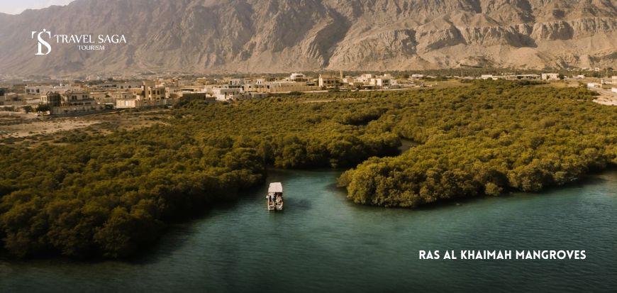 Ras Al Khaimah Mangroves