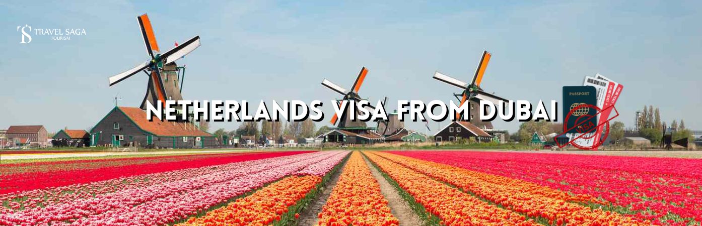 Netherlands Visa From Dubai | netherlands tourist visa BT banner by Travel Saga Tourism