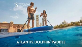 Atlantis Dolphin Paddle