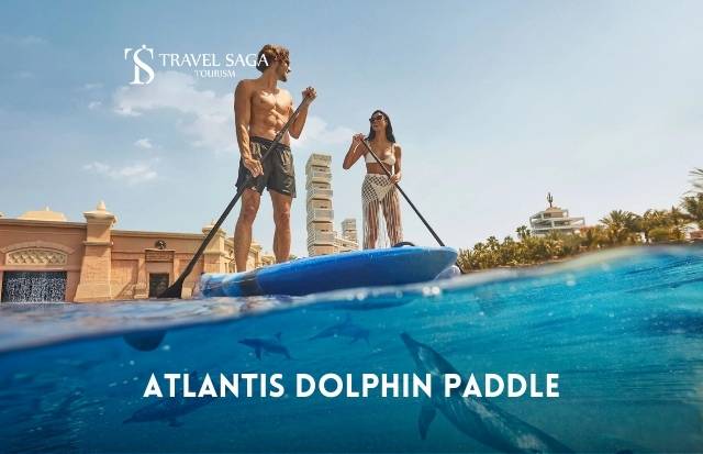 Atlantis Dolphin Paddle