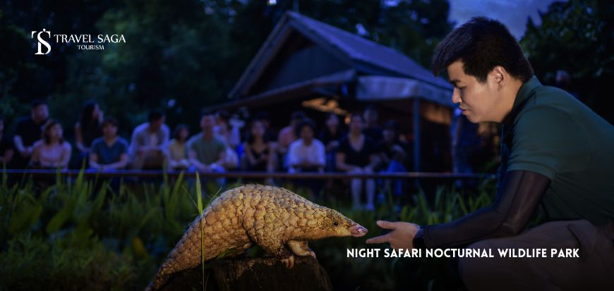 Night Safari Nocturnal Wildlife Park