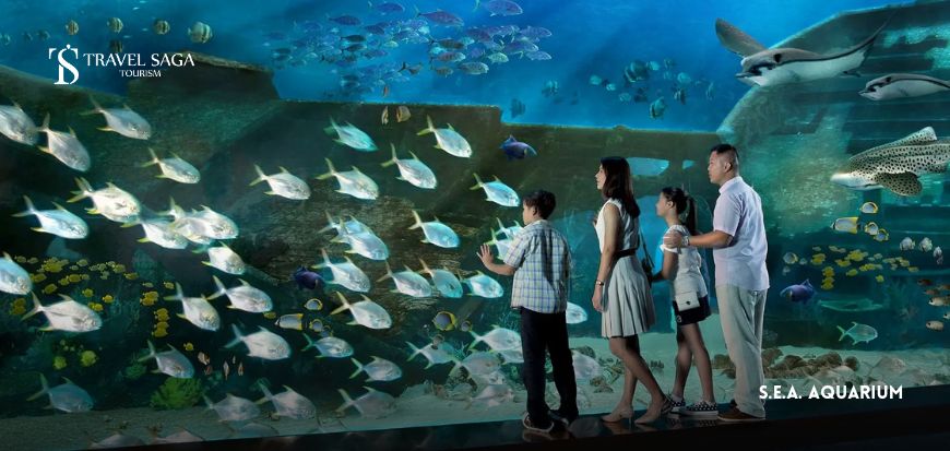 S.E.A. Aquarium