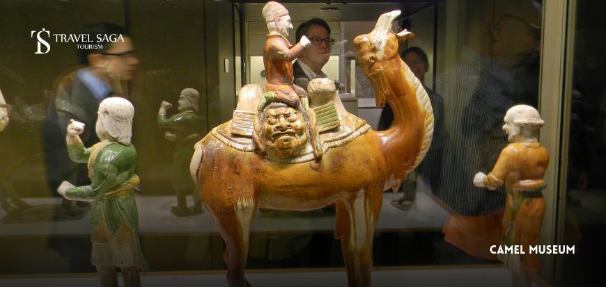 camel ride 