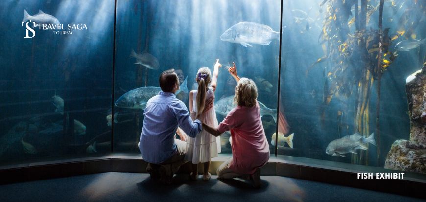 Fish Exhibit 