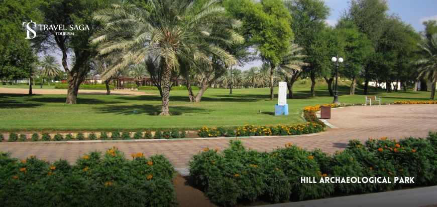 Hill Archaeological Park