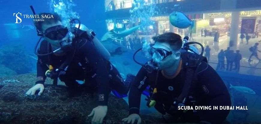 Scuba Diving in Dubai Mall