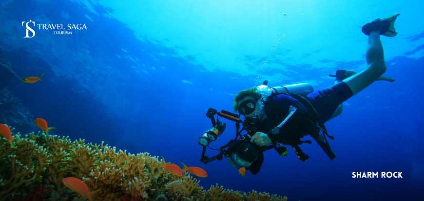Sharm Rock