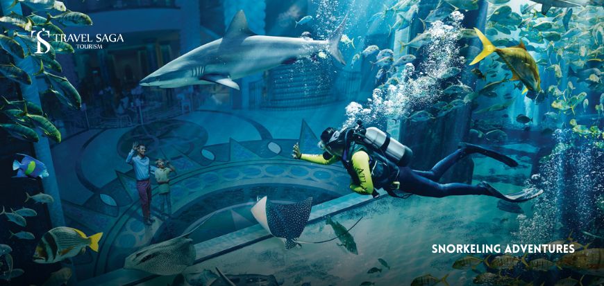 Snorkeling Adventures