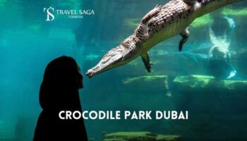 Dubai Crocodile Park