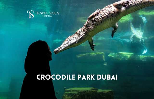 Dubai Crocodile Park