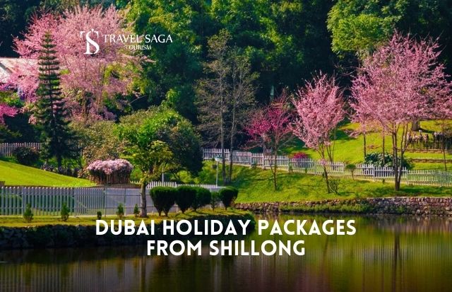 Dubai Tour Package from Shillong