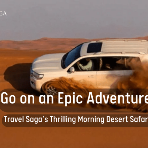 Travеl Saga’s Thrilling Morning Dеsеrt Safari!