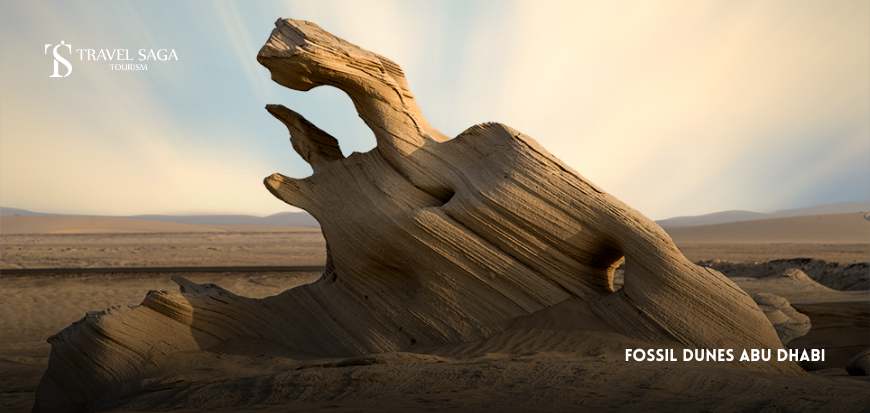 Fossil Dunеs abu dhabi