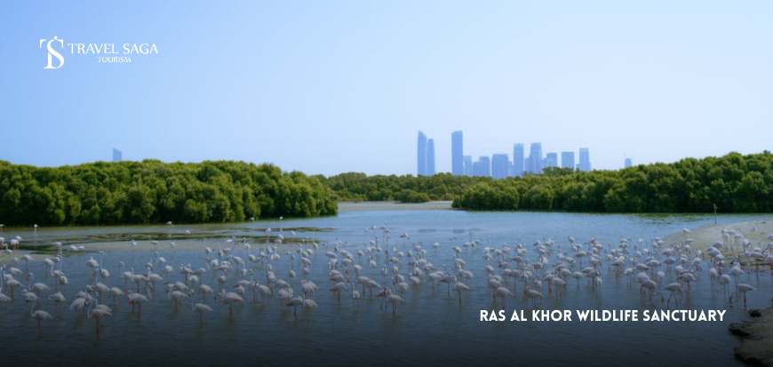 Ras Al Khor Wildlifе Sanctuary
