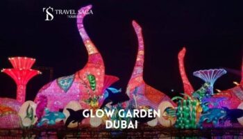 Dubai Glow Garden