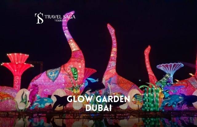 Dubai Glow Garden