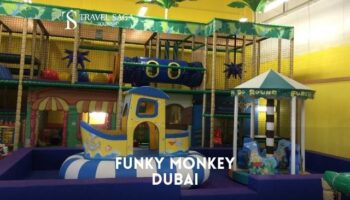 Funky Monkeys – The fun Playland Ticket