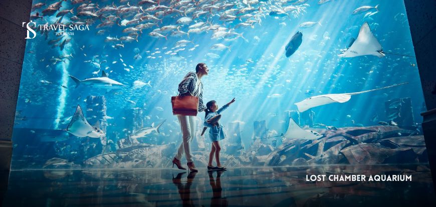 lost chamber aquarium