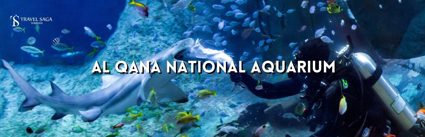 Al Qana-National Aquarium Abu Dhabi BT | National Aquarium tickets Banner Travel Saga Tourism