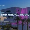 _Al Qana national aquarium, Abu Dhabi blog banner by Travel Saga Tourism